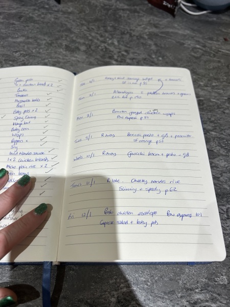 Would you share your meal plan please?