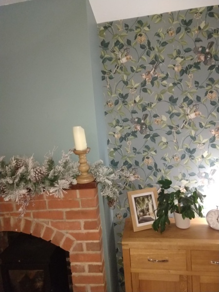 Which walls to paint teal?