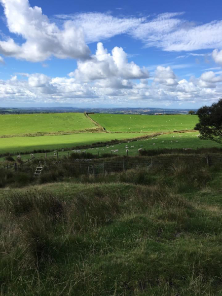 To ask you to show me your beautiful parts of the country