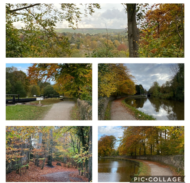 ⭐️LOSE IT! January 2024 Reset & Renew⭐️