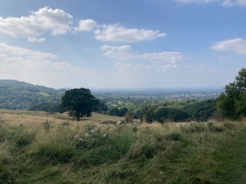 To ask you to show me your beautiful parts of the country