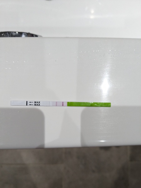 TTC after early miscarriage