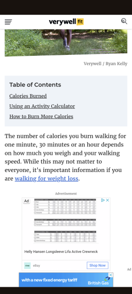 To lose 80lbs this year? Is it doable?