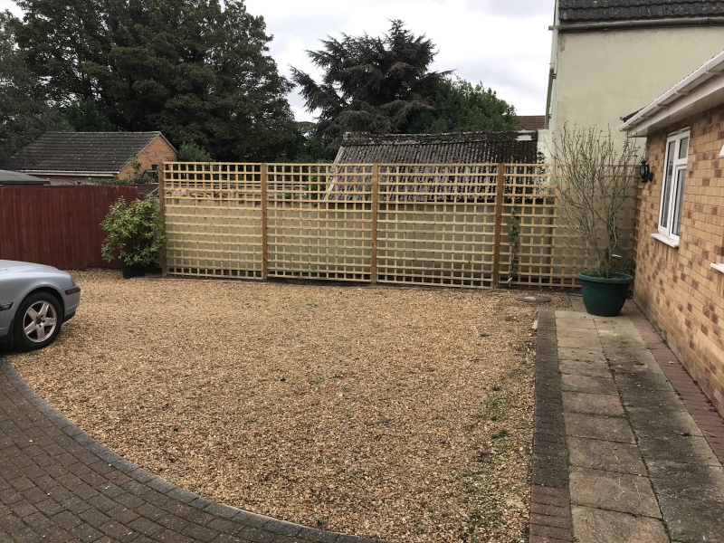What have you done in the garden today? Part 3