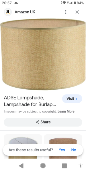 AIBU to hope to get a lampshade just like this?