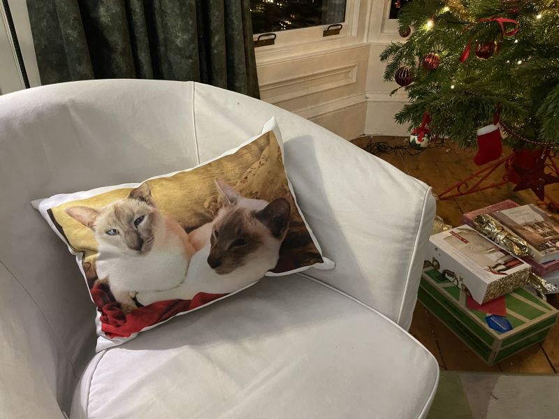 Brexit mega thread part 12: David Cameron: Return of the King