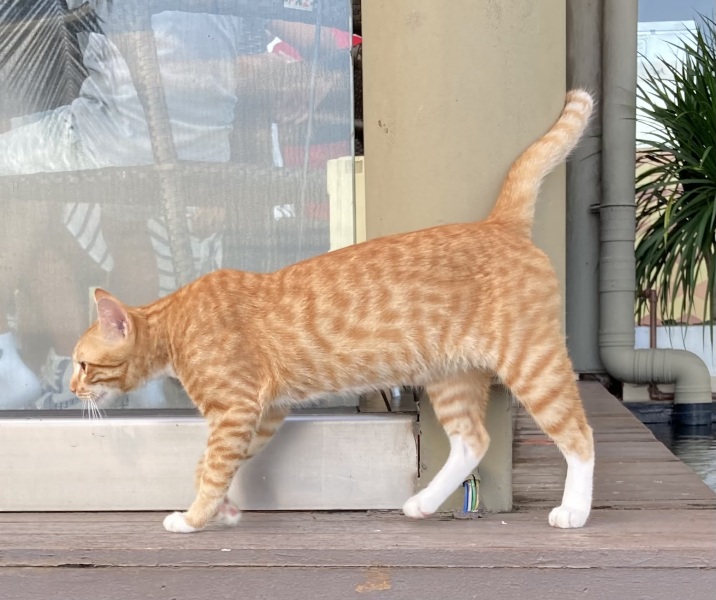 Thread 12 - TalkLair: “I say we take off and nuke the entire site from orbit. It's the only way to be sure.”