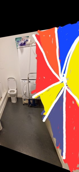Want to do something a bit mad/different with down stairs toilet (pics)