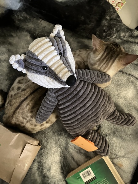 Christmas with the Excellent Cats