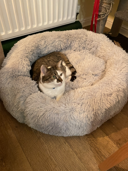 Come and tell me your dull and unexciting news 28: Calmly through the day