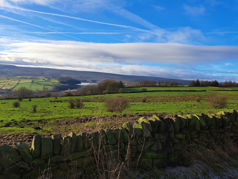 To ask you to show me your beautiful parts of the country