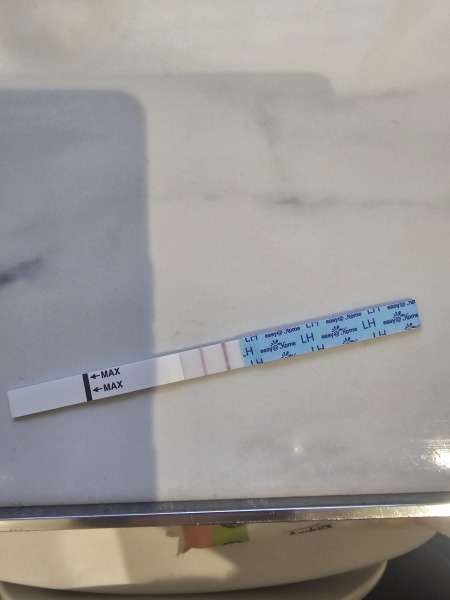 TTC May 2023 💖 Previous MC March 2023 (thread 3)