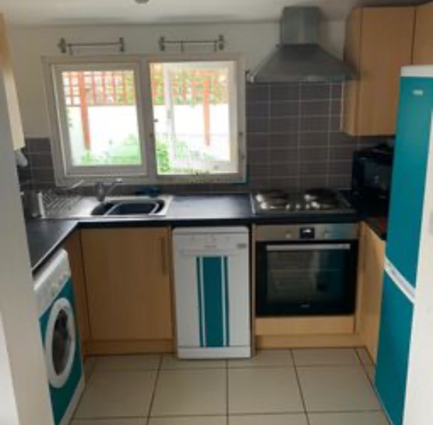 Has anyone here painted their fridge?