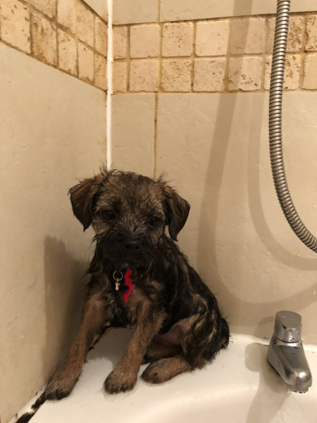 Stage IV cancer? Incurable? Roll up, roll up, this thread is for you!