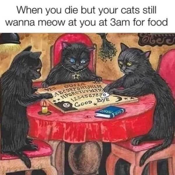 its January and miserable. Please post something that always makes you laugh.