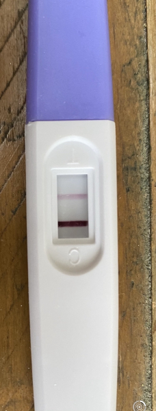 Anyone TTC Dec 2023…continued