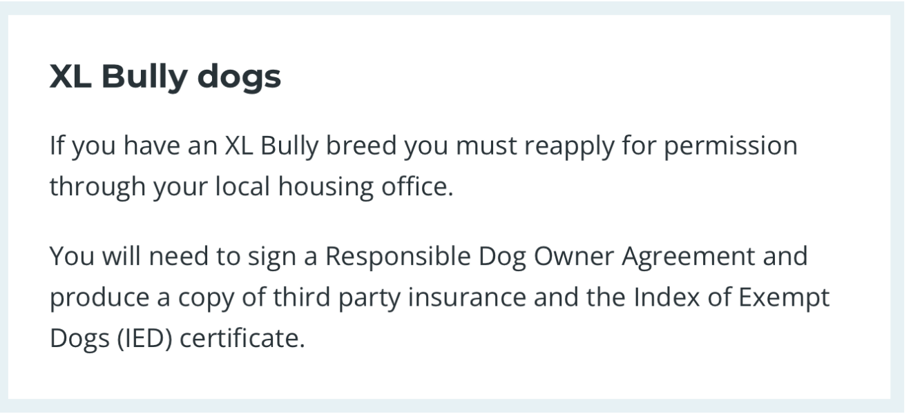 XL bully dogs and Scotland