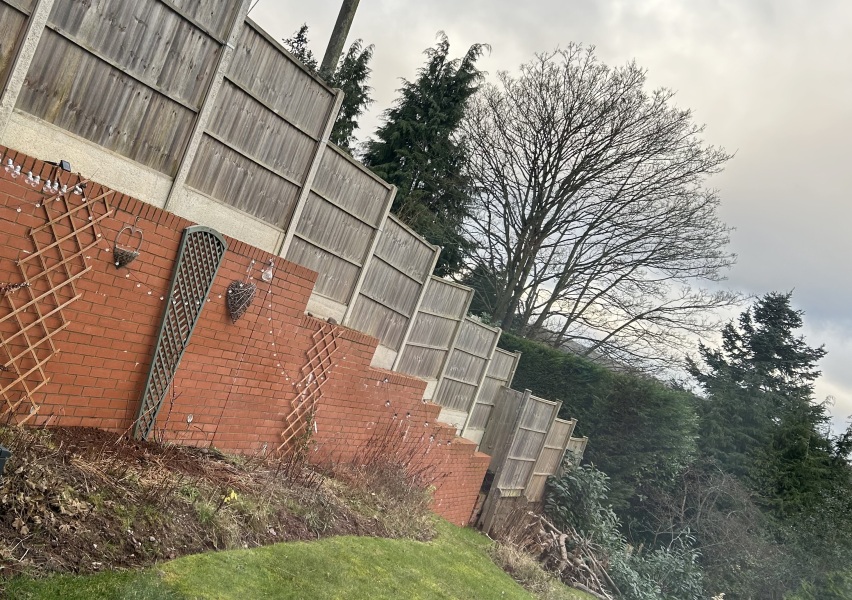 Garden advice - photo inc