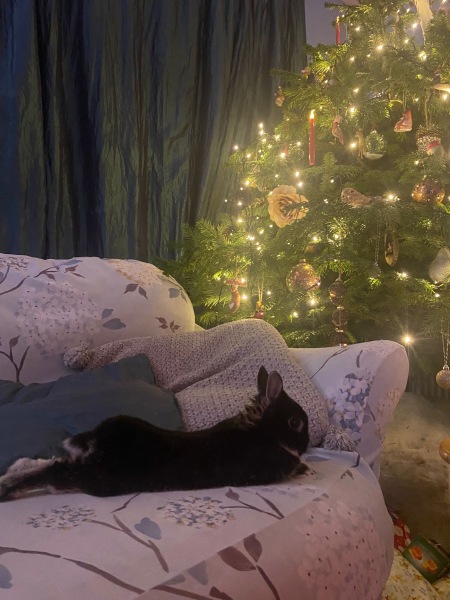 Countdown to Christmas 2024: And So We Begin (Thread 1)