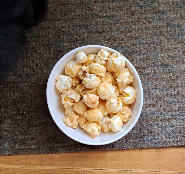 Another GC employment tribunal. Roz Adams vs Edinburgh Rape Crisis Centre #2