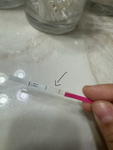 Faint lines and now no lines but have pregnancy symptoms??????