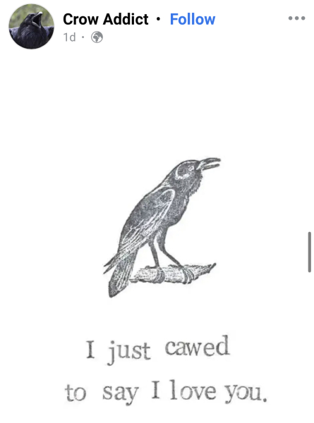 To be scared that I’m still marked by the crows?