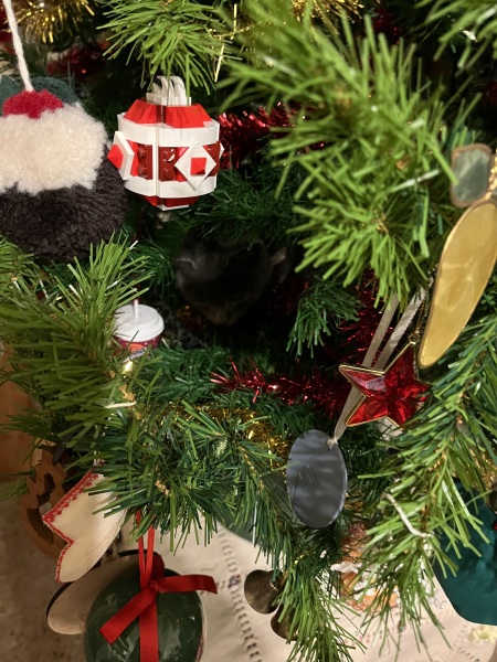 Christmas with the Excellent Cats