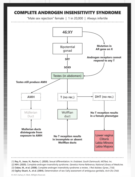 How to respond: been asked what sex I was assigned at birth