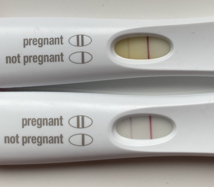 OCTOBER 2024 BABIES!