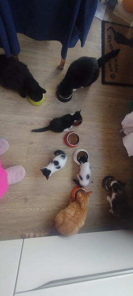 How many is too many?!