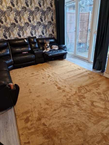 Rug does not look right?