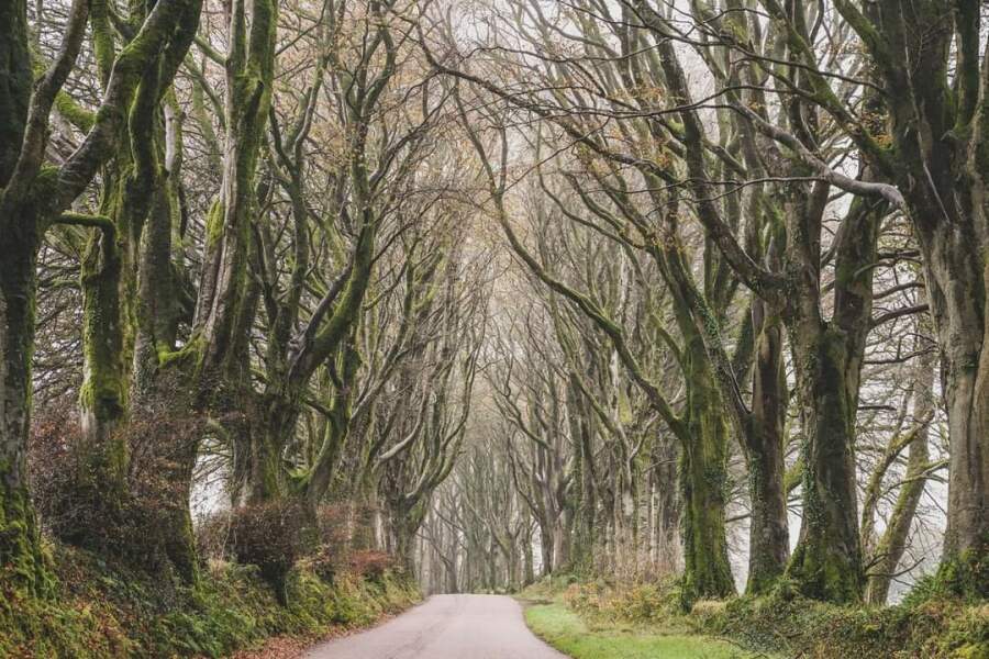 To ask you to show me your beautiful parts of the country