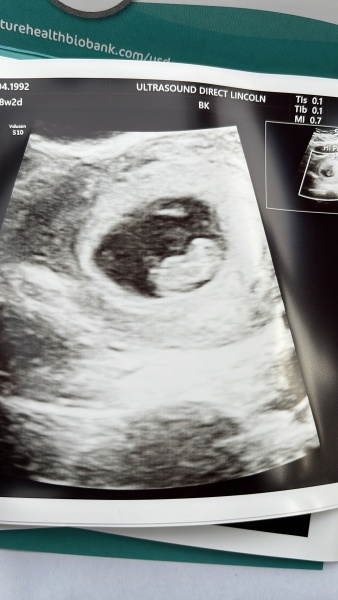 Due September 2024 PART 2 💛🧡💚💙💜
