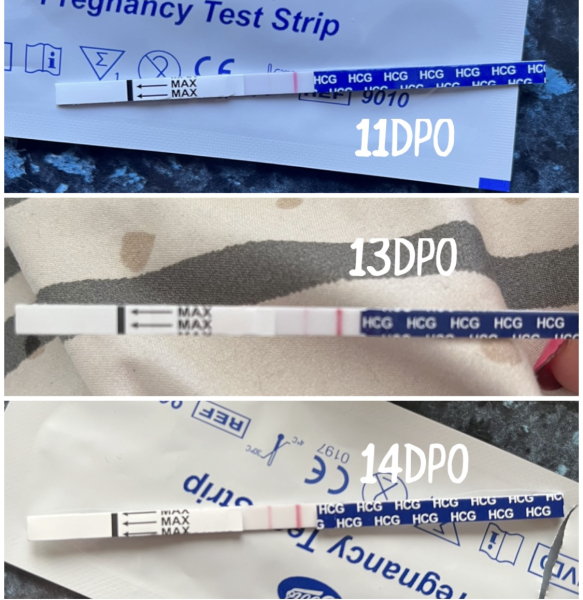 What did your pregnancy tests look like at 10/11dpo?