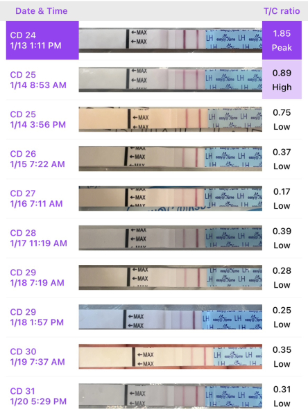 3DPO...TWW buddies?