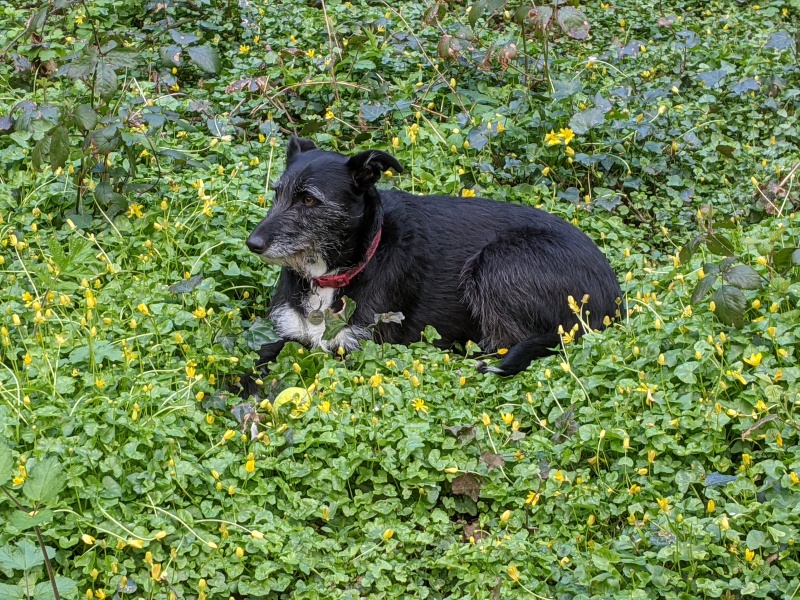 Thread 49 - Covid GCSE Cohort - The nights are drawing in...