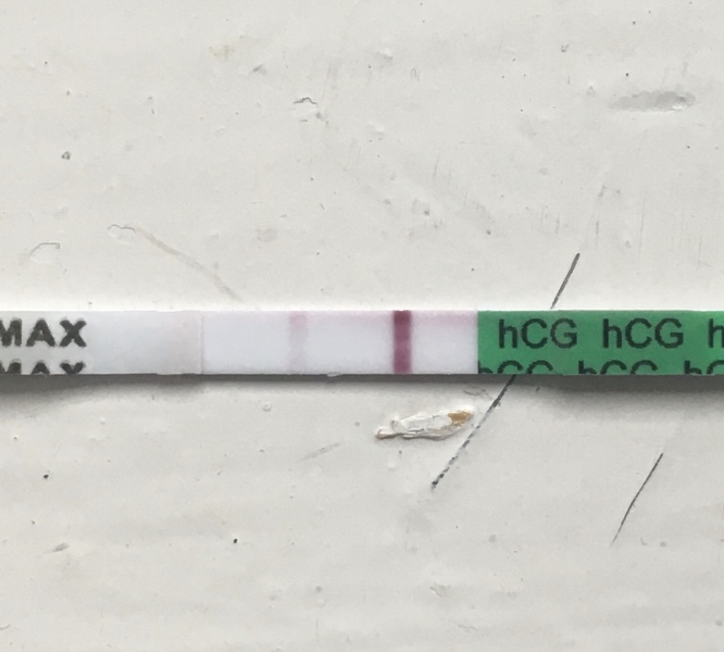 Home bargains strip tests