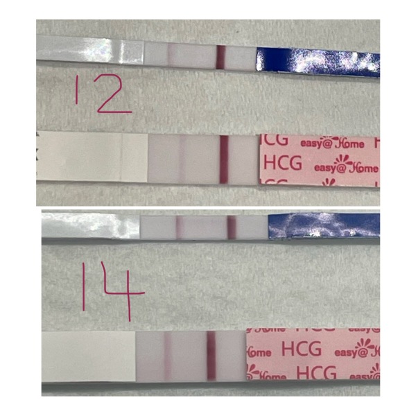 10dpo line eyes - I’m not seeing things am I?!