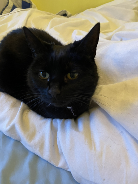 The happy Place Café is still open - 2024