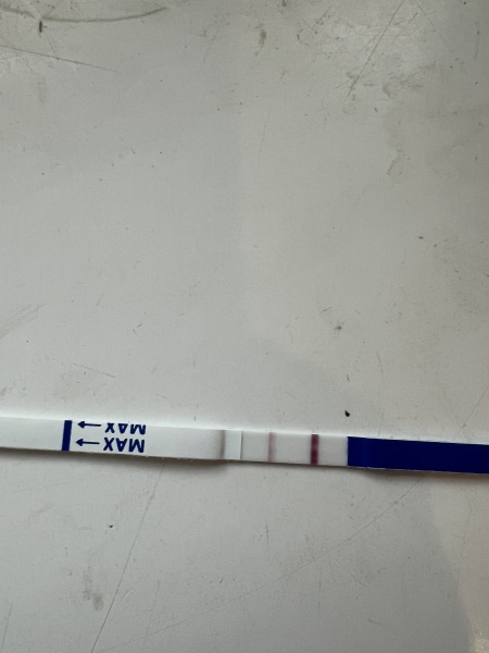 Clearblue early pregnancy test