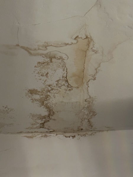Is this mould in our rental?