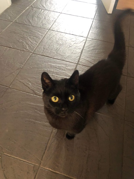 The happy Place Café is still open - 2024