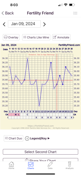 New to BBT - not sure what’s going on