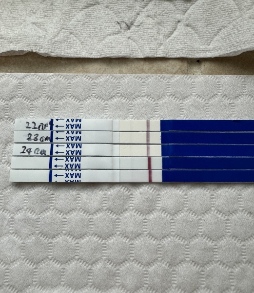 11DPO - is this a squinter?😬