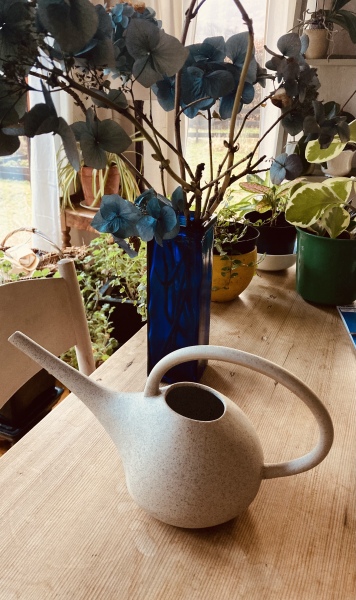 Toasties enjoying our sale buys  and springing into a new season