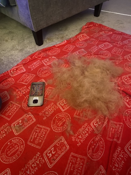 Puppy Survival Thread - for old and new pups heading into winter