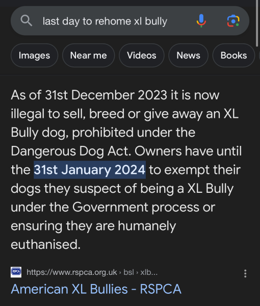 Xl bully- advice am I being unreasonable?!