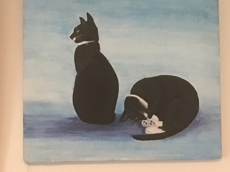 Christmas with the Excellent Cats