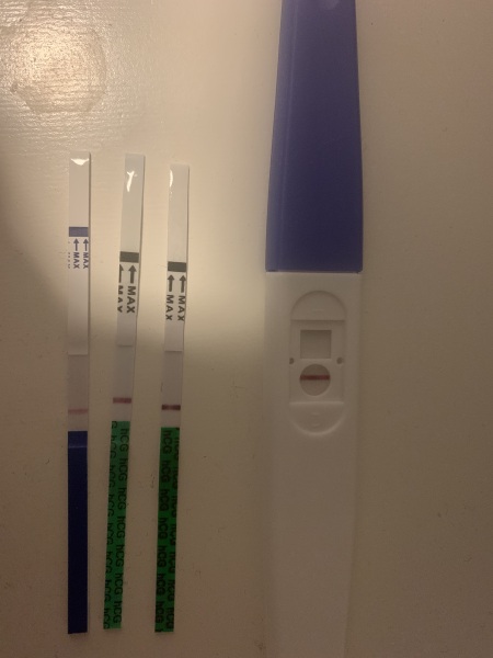 Early pregnancy test