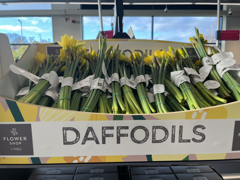 Thread for anyone struggling at the thought of long dark evenings #hotchocandhyggetypesnotyourthread